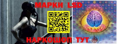 гидропоника Кингисепп
