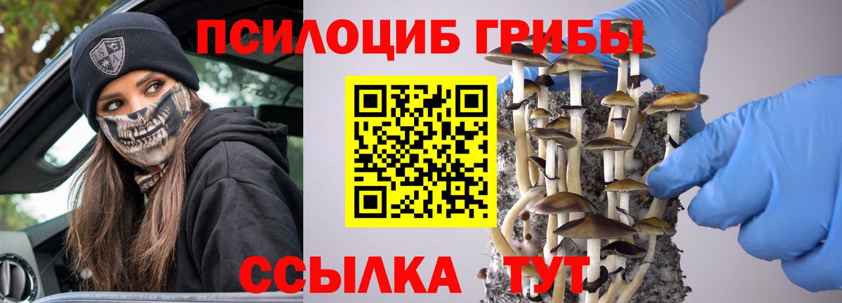 Псилоцибиновые грибы Magic Shrooms Кинель