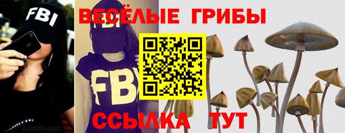 Галлюциногенные грибы Psilocybine cubensis  Вход с VPN  Галлюциногенные грибы Cubensis  Кинель 